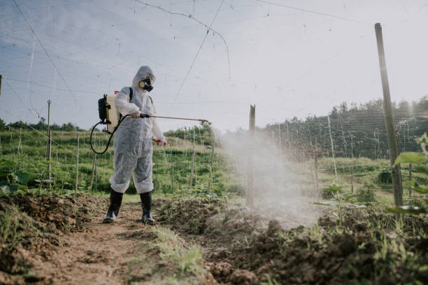 Best Commercial Pest Control Services  in Ironde, AL