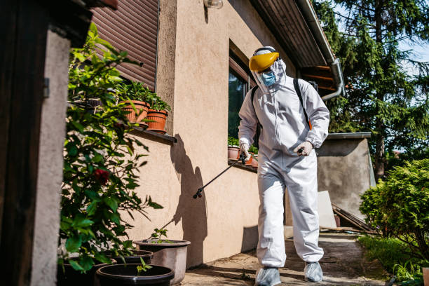 Best Best Pest Control Companies  in Ironde, AL