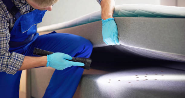 Best Local Pest Control Services  in Ironde, AL