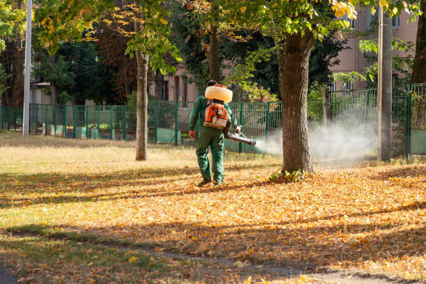 Best Best Pest Control Companies  in Ironde, AL