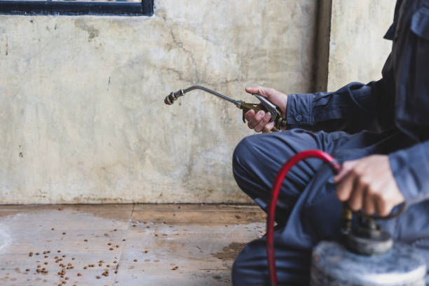 Best Pest Prevention Services  in Ironde, AL