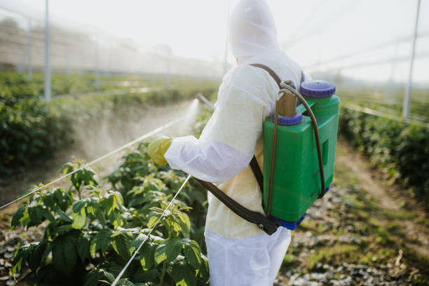 Best Commercial Pest Control Services  in Ironde, AL